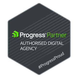 Progress Partner - Authorised Digital Agency